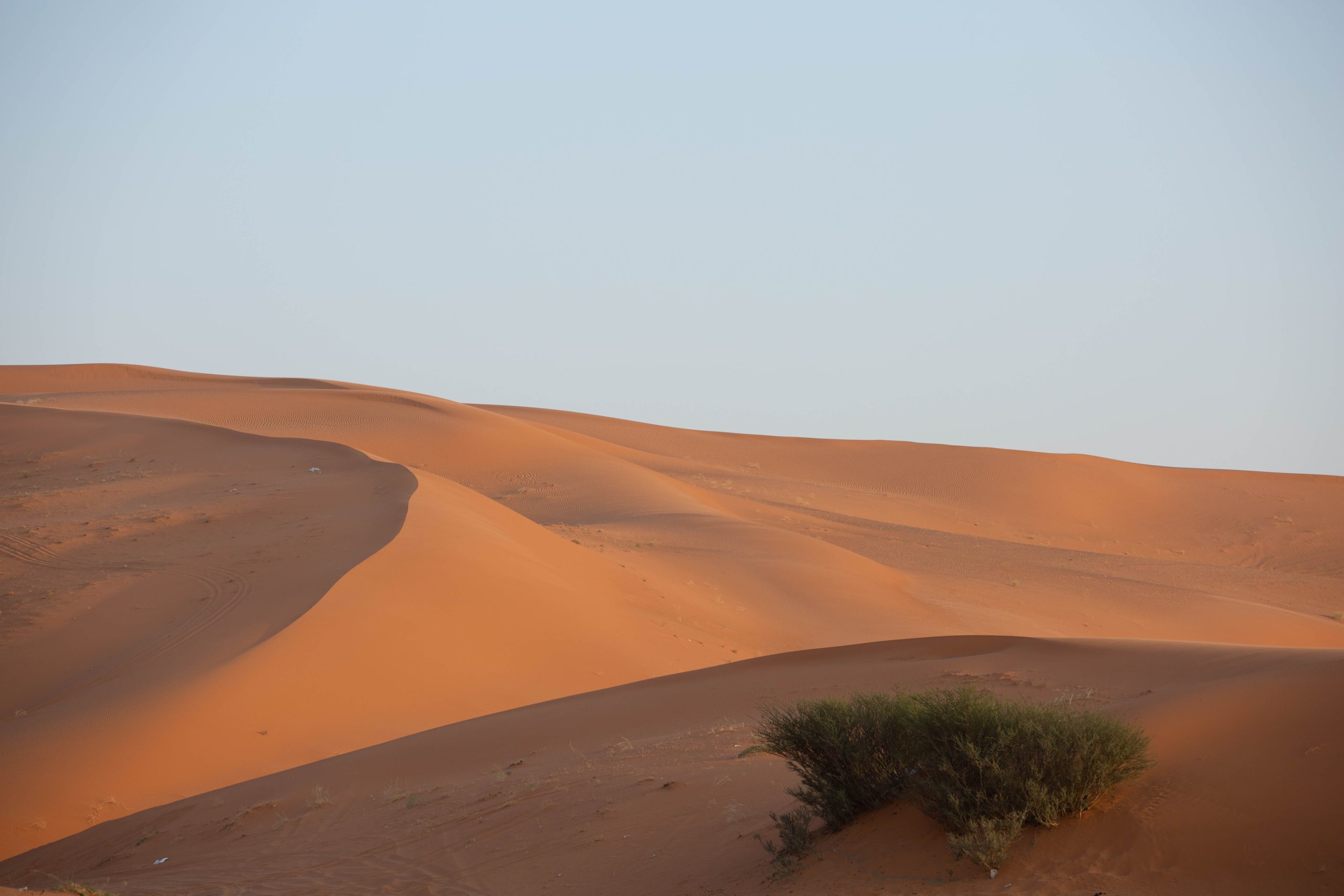 Al Nufud Al Kabir, Saudi Arabia (visitsaudi.com)