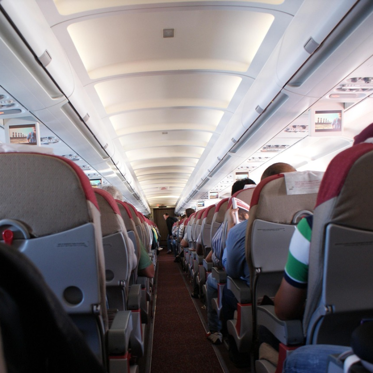 Plane (Pixabay By: EduSantosDG)